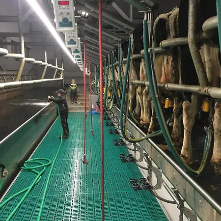 Haubarg Arlewatthof